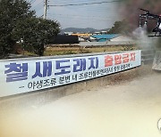 전북 정읍 야생조류서 고병원성 AI 검출..이달들어 세번째