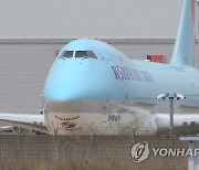 대한항공 여객기 이륙 후 새와 충돌..25분만에 김포공항 회항