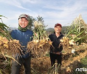 11월 11일은 '농업인의 날'..내일 26회 기념식