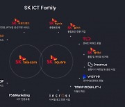 SK텔레콤 뉴ICT 7% 성장세..미디어·보안 쌍두마차