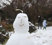 '겨울왕국'으로 변한 한라산..대설주의보에 눈 17cm 쌓였다