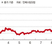 서학개미, 주저앉은 테슬라 '줍줍' [해외주식 인싸이트]