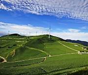 환경·재생 가치 인정받은 태백 매봉산 '바람의 언덕'