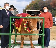 문경 이기준 농가, '경북 챔피언 한우' 수상