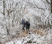 영양군 일월산에 첫눈..오는 11~12일 체감온도 '영하'