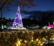 목원대학교 크리스마스트리 점등식