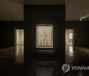 '박수근: 봄을 기다리는 나목'