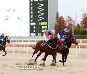 '위너스맨', '코리안더비'서 우승..부경 자존심 지켰다