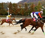 [경마] 부경 '위너스맨', 고객 함성과 함께 '코리안더비' 우승