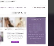 '깐부' 맺고 출장 성매매 사이트 41곳 운영 적발..경찰, '문의 전화' 1만 건 추적