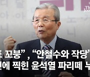 "홍준표 꼬붕""안철수와 작당"..김종인에 찍힌 尹 파리떼 누구