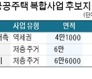 신길2 등 3곳 도심복합사업 지정 '속도'