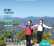 "썸 대신 산을 타자!"..유세윤x송진우의 '주간산악회'