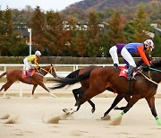 다시 문 연 경마장..3일 동안 7만명 코리안더비 만끽