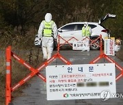 오리 고병원성 AI 발생시 1km 범위 추가 살처분한다