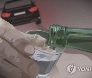 음주 상태로 지인 태운 채 25km 운전..20대 공무원 입건