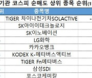 코스피 주간 기관 순매도 1위 'TIGER 차이나전기차SOLACTIVE'