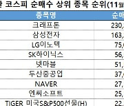 코스피 주간 기관 순매수 1위 '크래프톤'