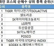 코스피 주간 개인 순매수 1위 'TIGER 차이나전기차SOLACTIVE'