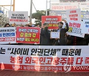 외국인 고용한 농민들 다 죽는다