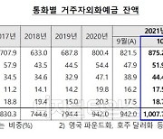 원·달러 환율 상승 기대감, 외화예금 1000억달러 돌파