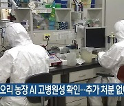 음성 오리 농장 AI 고병원성 확인..추가 처분 없어