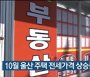 10월 울산 주택 전세가격 상승률 전국 최고