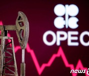 휘발유값 내년에 떨어질까.."OPEC+와 美 셰일에 달렸다"