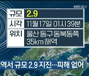 울산 동구 해역서 규모 2.9 지진..피해 없어