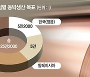 SKC, 9000억 투자 폴란드 동박공장 건설 "2025년 세계 1위"