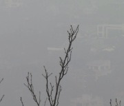"뿌연 주말 하늘"..수도권 뒤덮은 초미세먼지