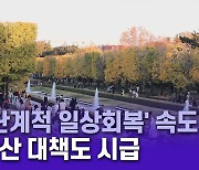 '단계적 일상회복' 속도 내는 일본, 재확산 대책도 시급