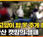 [자막뉴스] "왜 고양이 밥 못 주게 해!"..북한산 캣맘의 행패