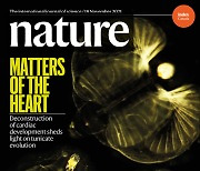 [표지로 읽는 과학] 심장 발달 유전자 망가뜨려 한 곳에 머무르는 삶 바꾼 유형류