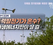 풍력발전기가 혼수? 재생에너지만이 살 길