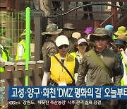 고성·양구·화천 'DMZ 평화의 길' 오늘부터 한시 개방