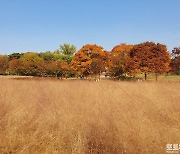 [포토친구] 가을 추억 만들기