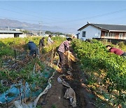 해남보호관찰소 사회봉사 명령대상자, 영세농가에서 봉사 실시