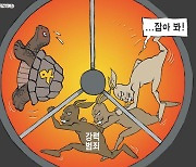 한국일보 11월 22일 만평