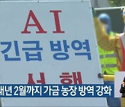 'AI 차단' 내년 2월까지 가금 농장 방역 강화