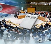 북한 "유엔 北인권결의안 전면 배격..대북적대정치 산물"