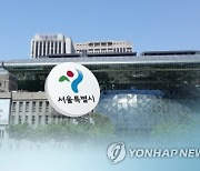 서울시 세금 5년간 13조원 더 걷혔다