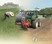 '논에 밭작물도 재배하면 직불금'..전남도, 227억원 지급