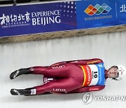 China Luge World Cup