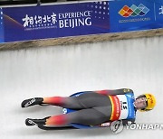 China Luge World Cup