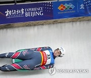 China Luge World Cup