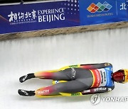 China Luge World Cup