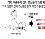 [테크비즈코리아 2021]<7>작약 추출물의 김치 유산균 발효물