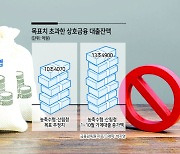 농·수협, 올 연말까지 대출 계획없다