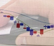 면사무소 직원 예산 4억 횡령..주식 투자로 탕진